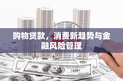 员林购物贷款，消费新趋势与金融风险管理