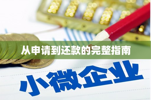 员林从申请到还款的完整指南