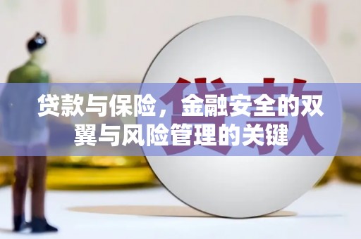 员林贷款与保险，金融安全的双翼与风险管理的关键