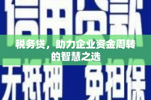 员林税务贷，助力企业资金周转的智慧之选