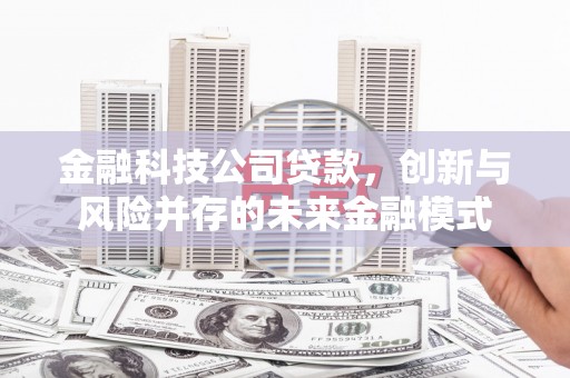 员林金融科技公司贷款，创新与风险并存的未来金融模式
