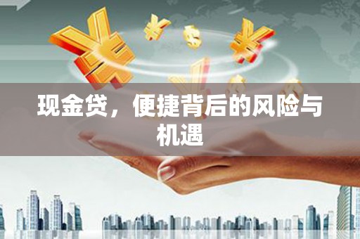 员林现金贷，便捷背后的风险与机遇
