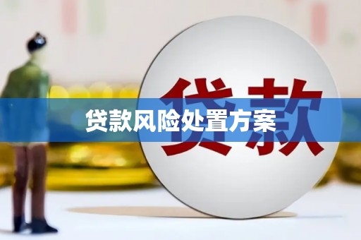 员林贷款风险处置方案