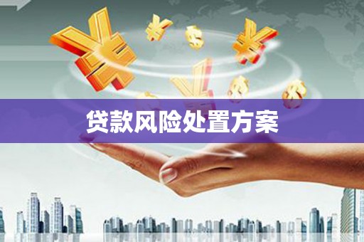员林贷款风险处置方案