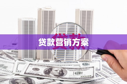 员林贷款营销方案