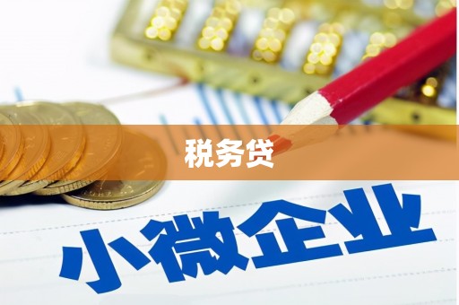 员林税务贷