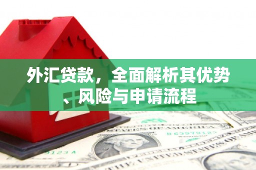 员林外汇贷款，全面解析其优势、风险与申请流程
