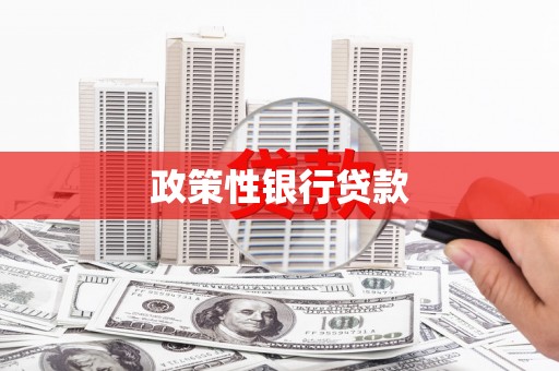 员林政策性银行贷款
