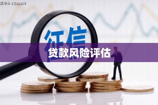员林贷款风险评估