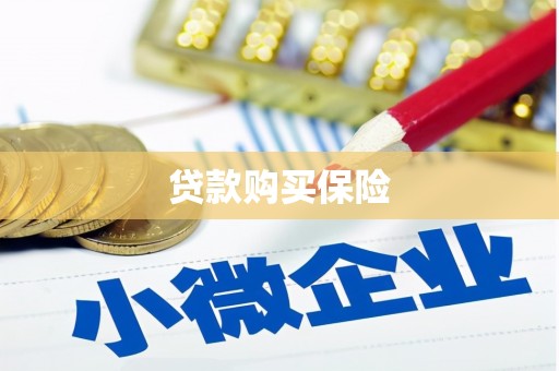 员林贷款购买保险