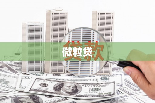 员林微粒贷