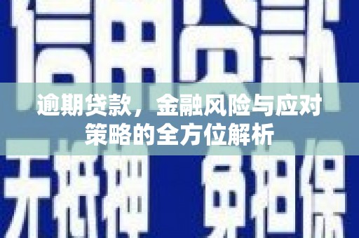 员林逾期贷款，金融风险与应对策略的全方位解析