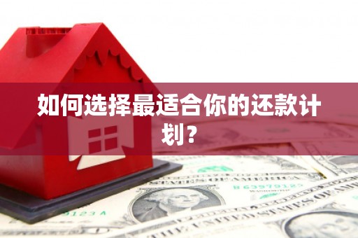 员林如何选择最适合你的还款计划？