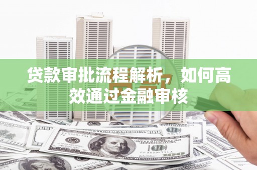 员林贷款审批流程解析，如何高效通过金融审核