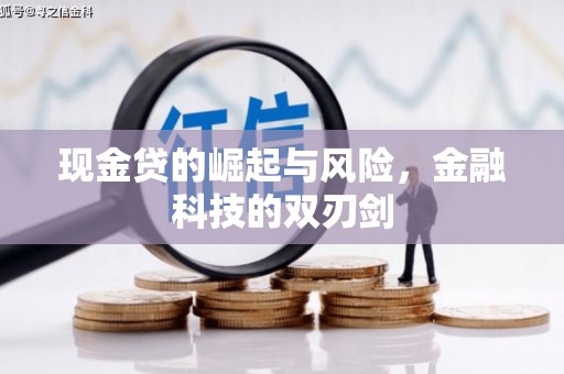 员林现金贷的崛起与风险，金融科技的双刃剑