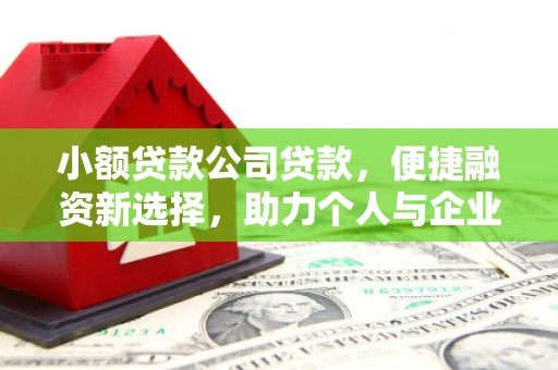 员林小额贷款公司贷款，便捷融资新选择，助力个人与企业成长
