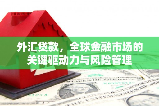 员林外汇贷款，全球金融市场的关键驱动力与风险管理
