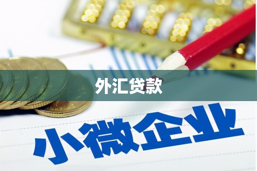 员林外汇贷款