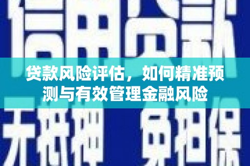 员林贷款风险评估，如何精准预测与有效管理金融风险