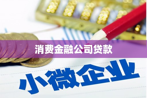 员林消费金融公司贷款