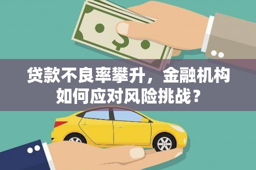 员林贷款不良率攀升，金融机构如何应对风险挑战？