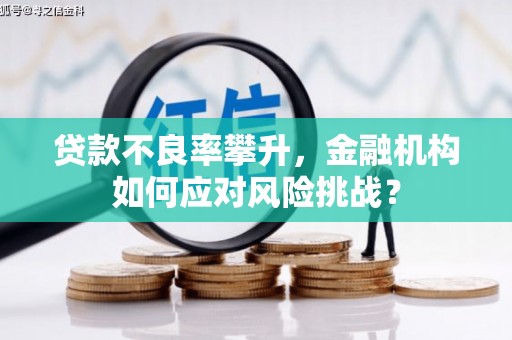 员林贷款不良率攀升，金融机构如何应对风险挑战？