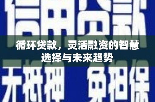 员林循环贷款，灵活融资的智慧选择与未来趋势