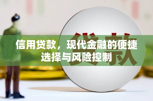 员林信用贷款，现代金融的便捷选择与风险控制