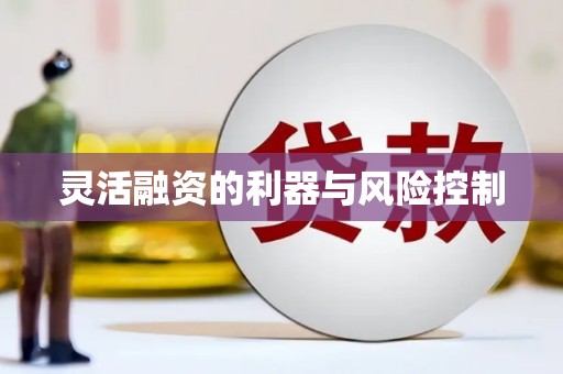 员林灵活融资的利器与风险控制
