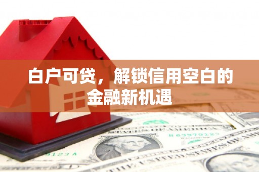 员林白户可贷，解锁信用空白的金融新机遇