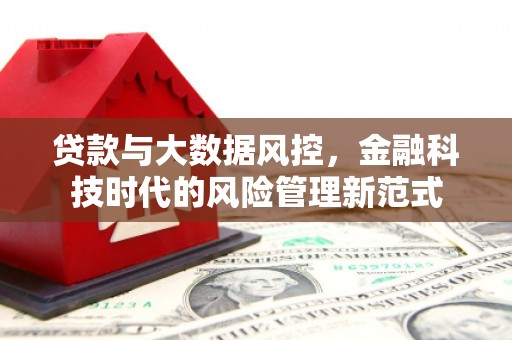 员林贷款与大数据风控，金融科技时代的风险管理新范式