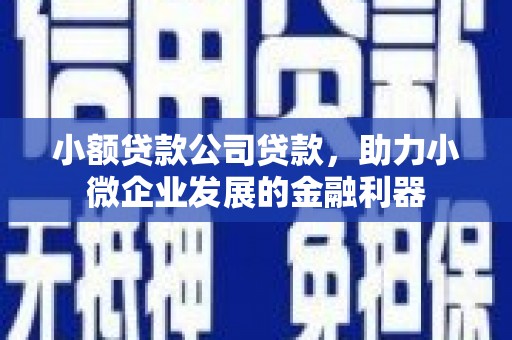 员林小额贷款公司贷款，助力小微企业发展的金融利器
