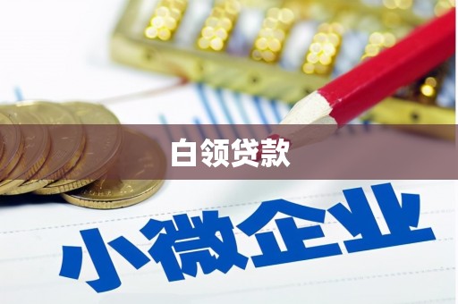 员林白领贷款