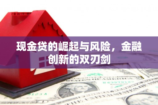 员林现金贷的崛起与风险，金融创新的双刃剑