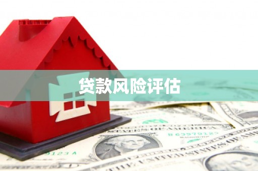 员林贷款风险评估