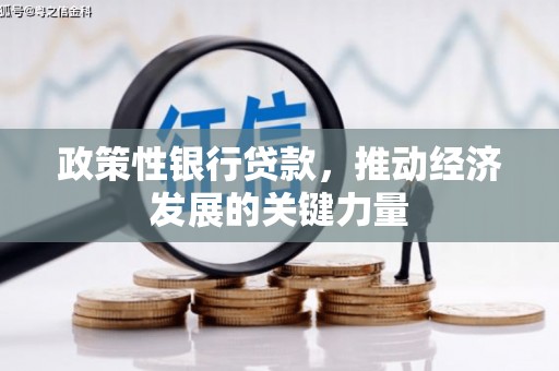 员林政策性银行贷款，推动经济发展的关键力量