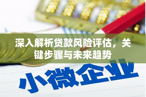 员林深入解析贷款风险评估，关键步骤与未来趋势