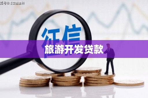 员林旅游开发贷款