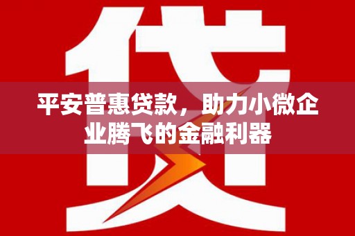 员林平安普惠贷款，助力小微企业腾飞的金融利器