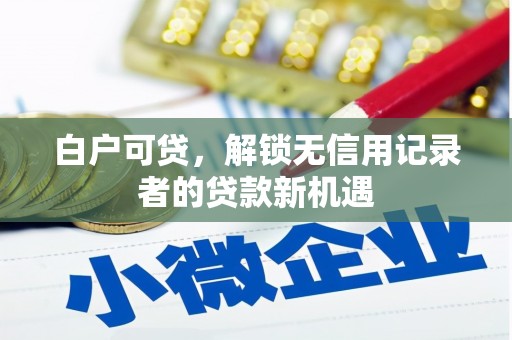 员林白户可贷，解锁无信用记录者的贷款新机遇