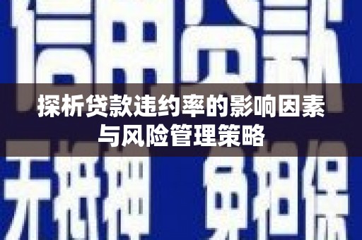 员林探析贷款违约率的影响因素与风险管理策略