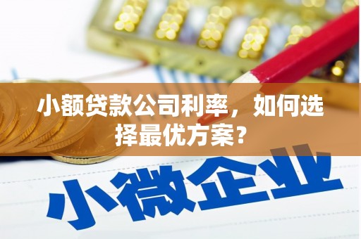 员林小额贷款公司利率，如何选择最优方案？