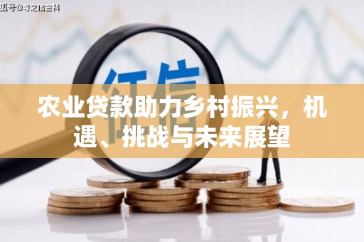 员林农业贷款助力乡村振兴，机遇、挑战与未来展望