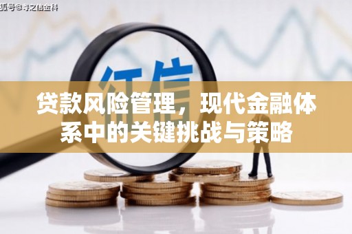 员林贷款风险管理，现代金融体系中的关键挑战与策略
