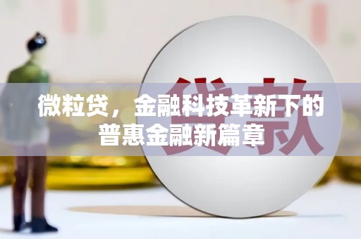 员林微粒贷，金融科技革新下的普惠金融新篇章