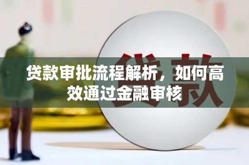 员林贷款审批流程解析，如何高效通过金融审核