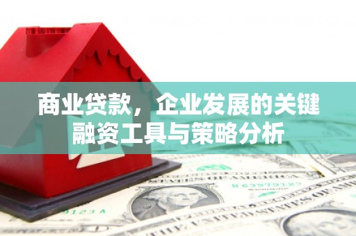 员林商业贷款，企业发展的关键融资工具与策略分析