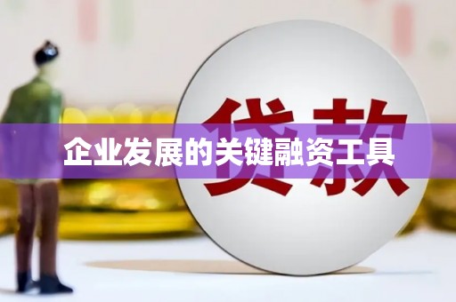 员林企业发展的关键融资工具