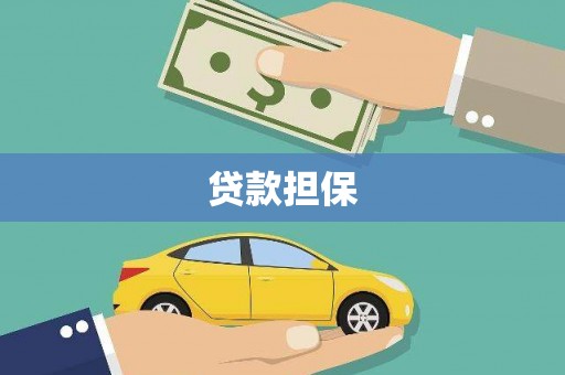 员林贷款担保