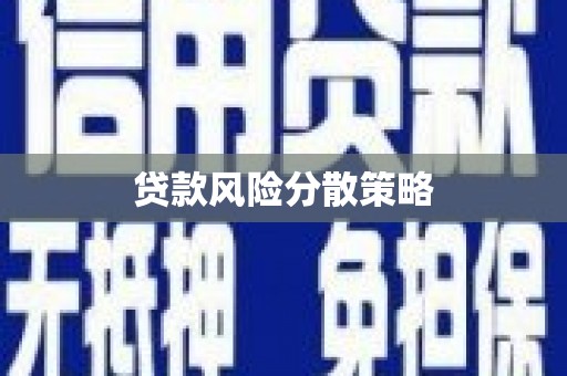 员林贷款风险分散策略